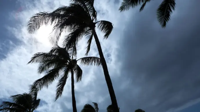 hurricane and disaster clean up southwest florida